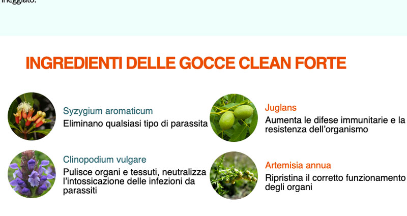 Ingredienti Clean Forte